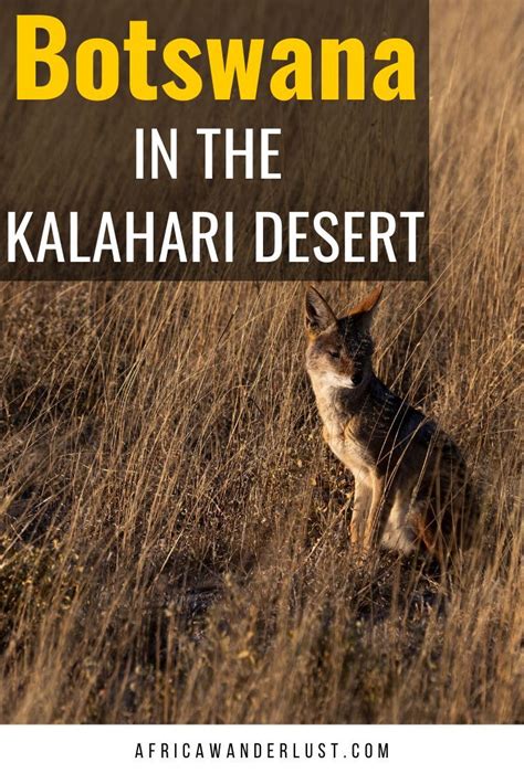 The Kalahari Desert Covers Much Of Botswana And Parts Of Namibia And South Africa Africa If