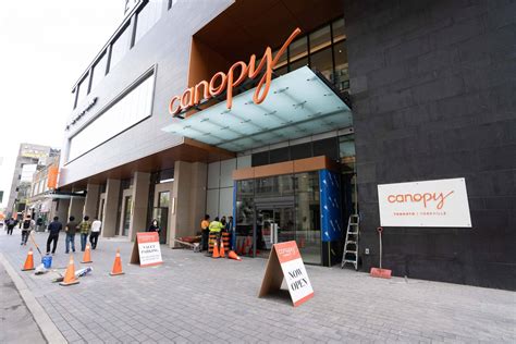Review Canopy By Hilton Toronto Yorkville Prince Of Travel