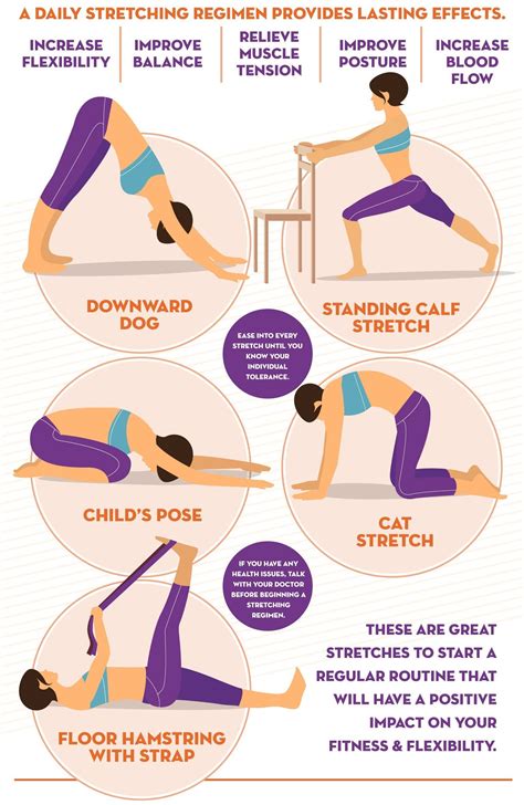 by incorporating a stretching program into your daily routine you can increase your flexibility