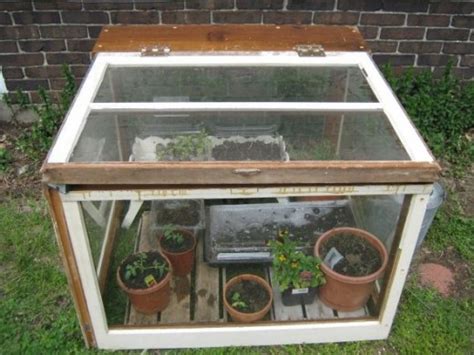 We did not find results for: 5 Cheap and Easy Ways to Build Your Own Micro-Greenhouse! - Blue Moon Acres