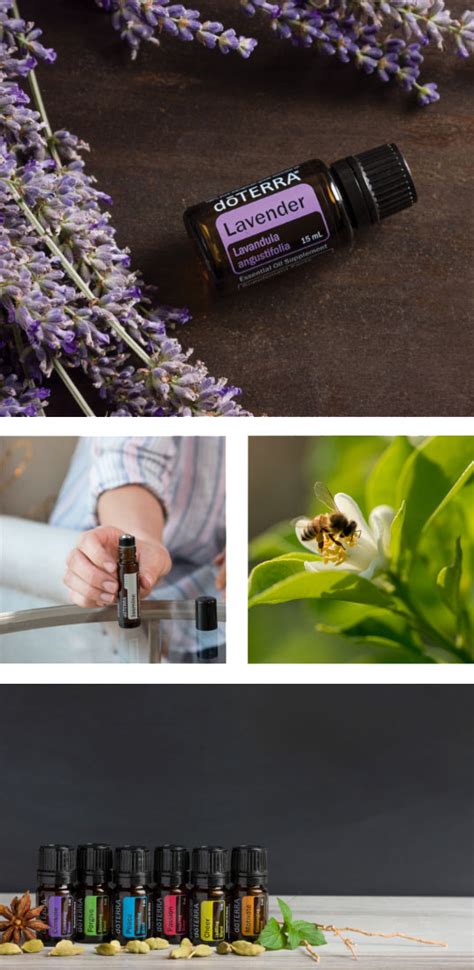 Why Doterra Amboh Essential Oils