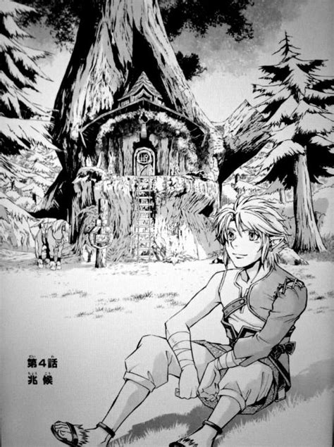 Twilight Princess Manga By Akira Himekawa Akira Himekawa