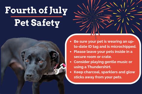 Fourth Of July Pet Safety Tips Richmond Spca