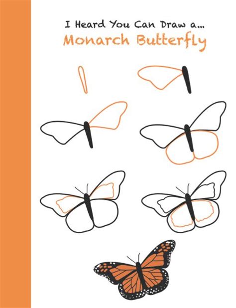 Step By Step Butterfly Drawing At Getdrawings Free Download