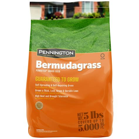 Pennington Sahara Bermudagrass Grass Seed For Southern Lawns 5 Lb
