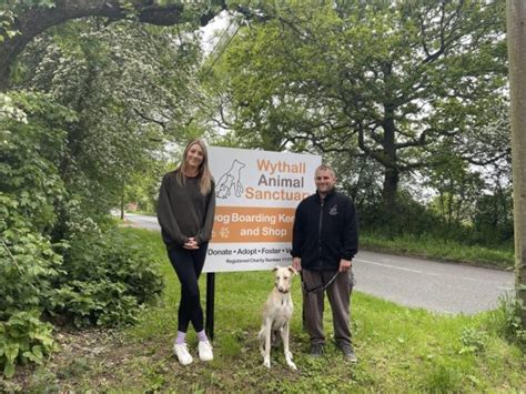 Wythall Animal Sanctuary To Face Closure If Funds Cant Be Raised The