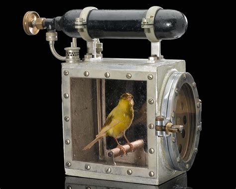 This Device Was Used To Resuscitate Canaries In Coal Mines Museum Crush