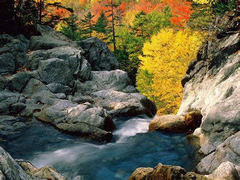Wallpaper Landscape Forest Waterfall Rock Nature Stones River Valley Canyon