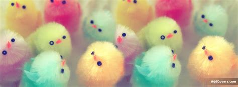 You can also grab the matching 5x7 marketing. Easter Chicks Facebook Covers | Facebook cover images ...