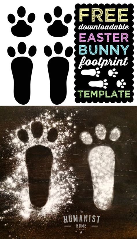 Free Bunny Footprints Cliparts, Download Free Bunny ...