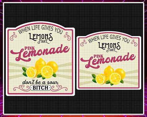 When Life Gives You Lemons Make Pink Lemonade Png Sour Bitch Etsy