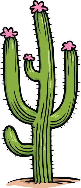 Saguaro Cactus With Pink Blooms Stock Illustration Download Image Now