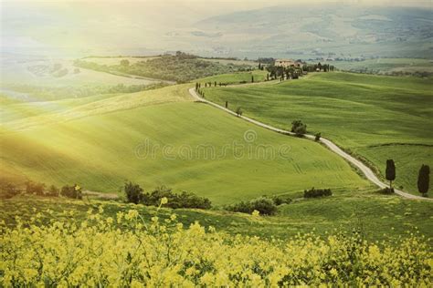Under The Tuscan Sun Stock Image Image Of Cuisine Colorful 73264301