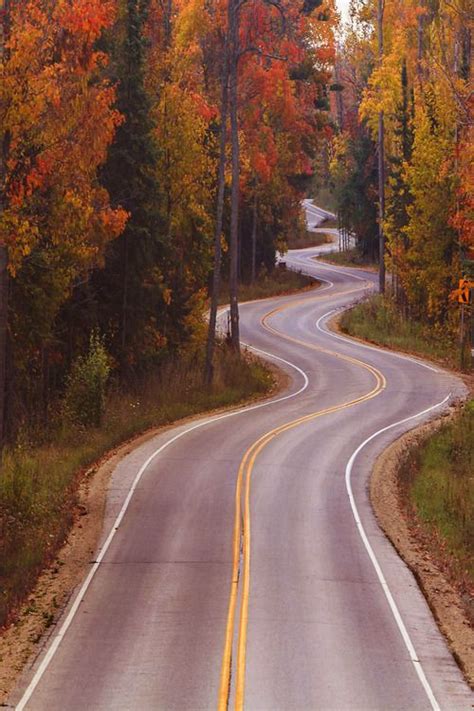 17 Best Images About Long And Winding Road On Pinterest National Forest