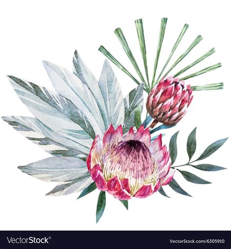 Protea Flower Design Best Flower Wallpaper