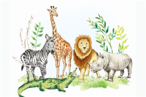 Safari Jungle African Animal Clipart Pre Designed Photoshop Graphics