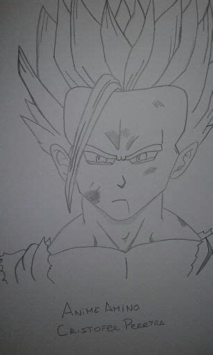 Gohan •anime• Amino