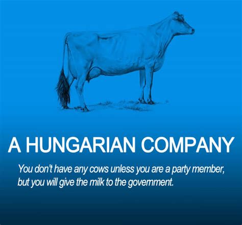 The World Economy Explained With Just Two Cows 30 Pics