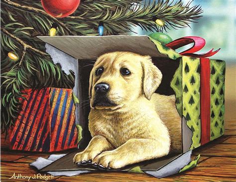 Christmas Pup Painting By Anthony J Padgett Fine Art America