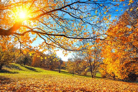 4k Free Download Sunny Autumn Landscape Countryside Fall Autumn