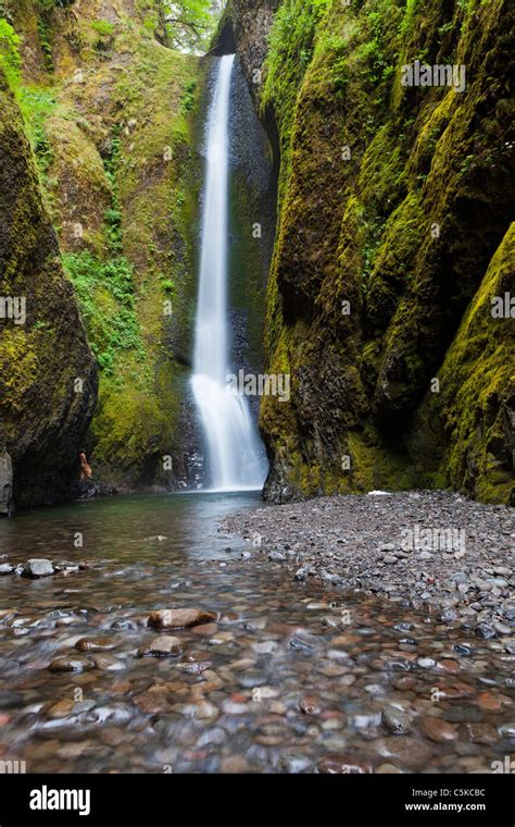 Lower Oneonta Falls Oregon Usa Stock Photo Alamy