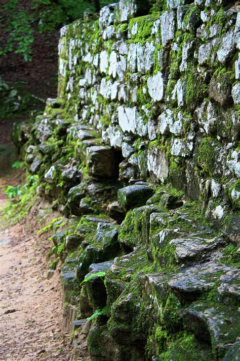Moss Covered Stone Wall Photograph By Selena Lorraine