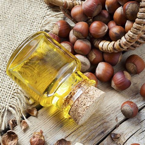 The Benefits Of Hazelnut Oil For Moisture Retention NaturallyCurly Com