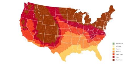 2018 Fall Foliage Map Shows When The Leaves Will Start