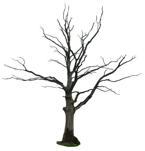 Branches of sycamore tree clipart 20 free Cliparts | Download images on Clipground 2020
