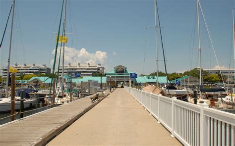 Floridas Favorite Live Aboard Marina Regatta Pointe Marina Palmetto