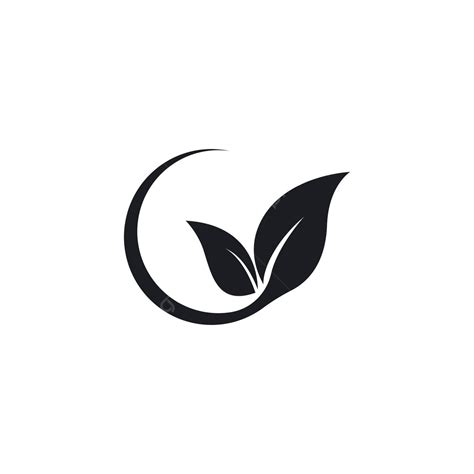 Green Leaf Logo Logo Design Organic Vector Logo Design Organic Png