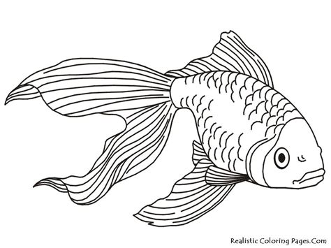Damien reynolds add comment animals, jaguar saturday, june 15, 2013 download diego baby jaguar coloring pages printable, this baby jaguar pictures to color. Tropical Fish Coloring Pages | Gold Fish Kids Coloring ...