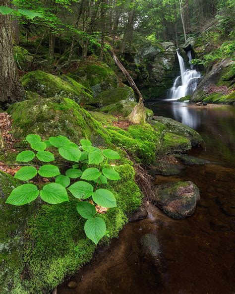 Enders Falls Green Photograph By Bill Wakeley Fine Art America