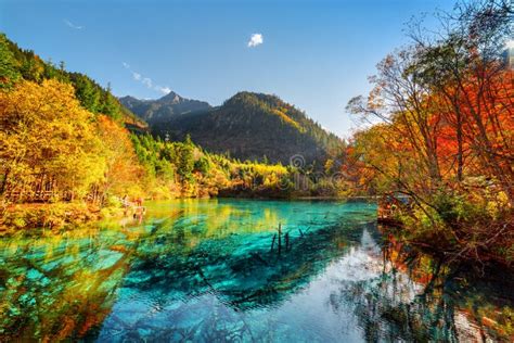 206 Five Flower Lake Jiuzhaigou National Park China Stock Photos Free