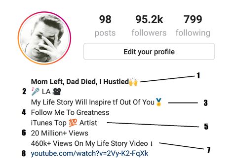 How To Make A Good Instagram Bio To Gain Followers Fast And Easy