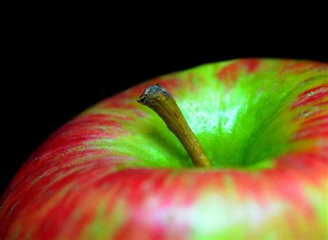 Apple Core Photograph By Diana Angstadt Fine Art America