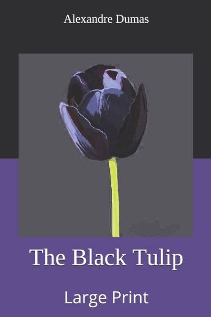 The Black Tulip Large Print By Alexandre Dumas Paperback Barnes