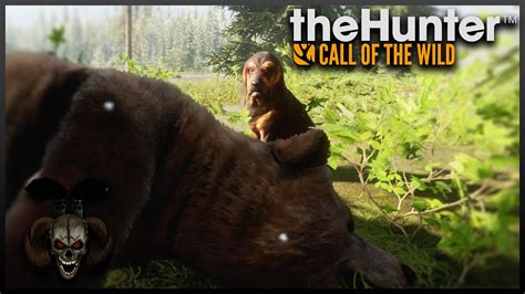 Bears And Bugs Welcome To A Call Of The Wild Rant Youtube