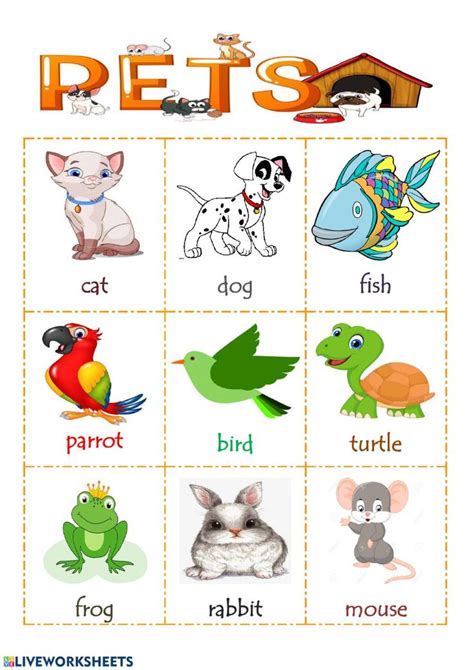 Kindergarten Worksheet Pets