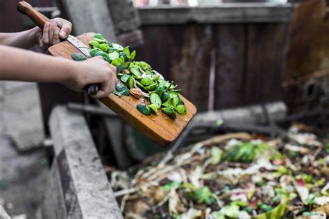Composting Is Way Easier Than You Think Heres How To Do It Right