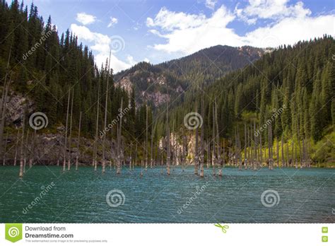 Kaindy Mountain Lake In Kazakhstan Stock Photo Image Of Alatau