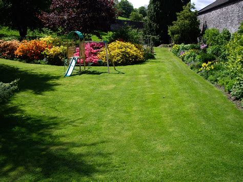 How to treat your own grass. Annual Lawn Care Schedule: Grass Maintenance Through the Year