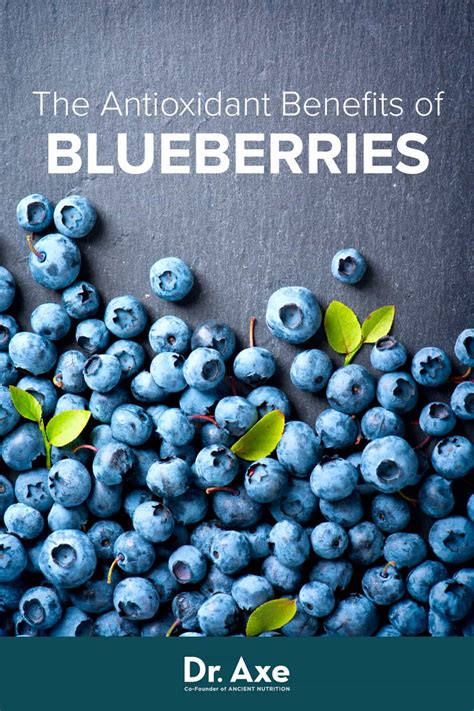 blueberries benefits nutrition recipes and more dr axe