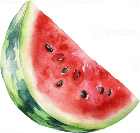 Watermelon Watercolor Illustration 24045857 Png