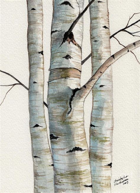Three Birch Trees Painting By Christopher Shellhammer Birch Tree Art