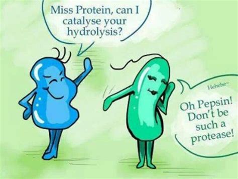 Funny Jokes About Biology Freeloljokes