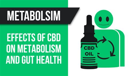 Effects Of Cbd On Metabolism And Gut Health