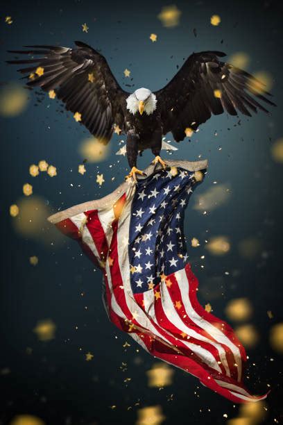 Legion emblem clip art thread pixiebob s conservative. Bald Eagle American Flag Stock Photos, Pictures & Royalty ...