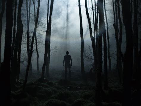 10 Great Forest Horror Films Bfi