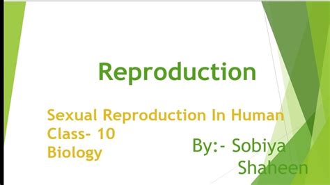 Reproduction In Human Reproduction Class 10 Cbse Youtube
